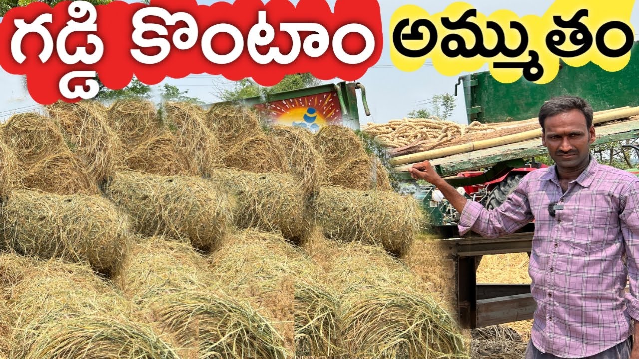 వరి గడ్డిని కొంటాం.. అమ్ముతాం | Paddy Grass Business | రైతు బడి
