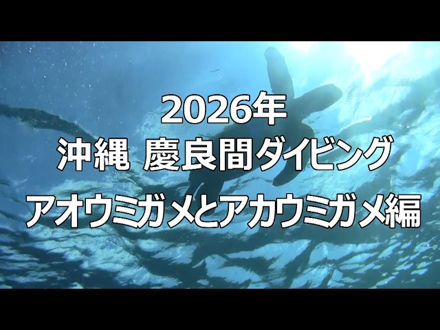 Diving】6分57秒：2026年沖縄 慶良間ダイビング（亀Ver） - YouTube