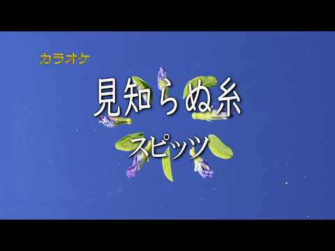 【カラオケ】スピッツ「見知らぬ糸」
