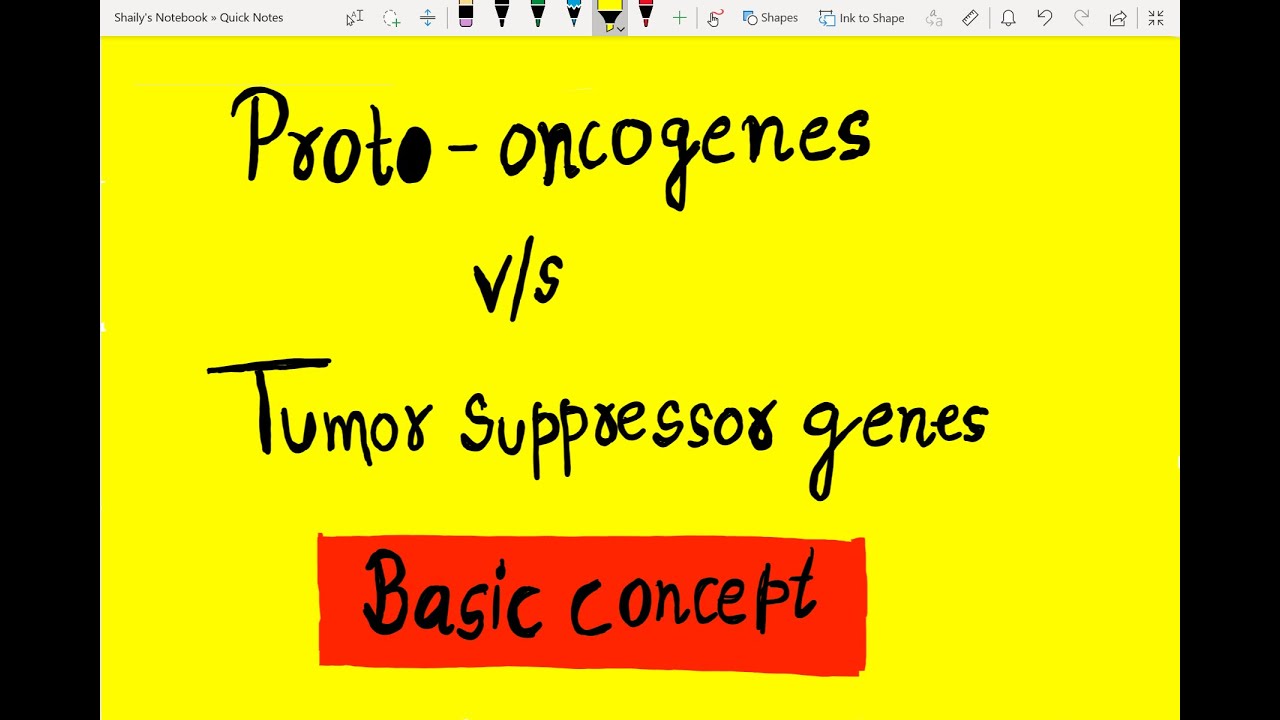 |Proto-oncogene vs tumor suppressor gene||gain of function mutation ...
