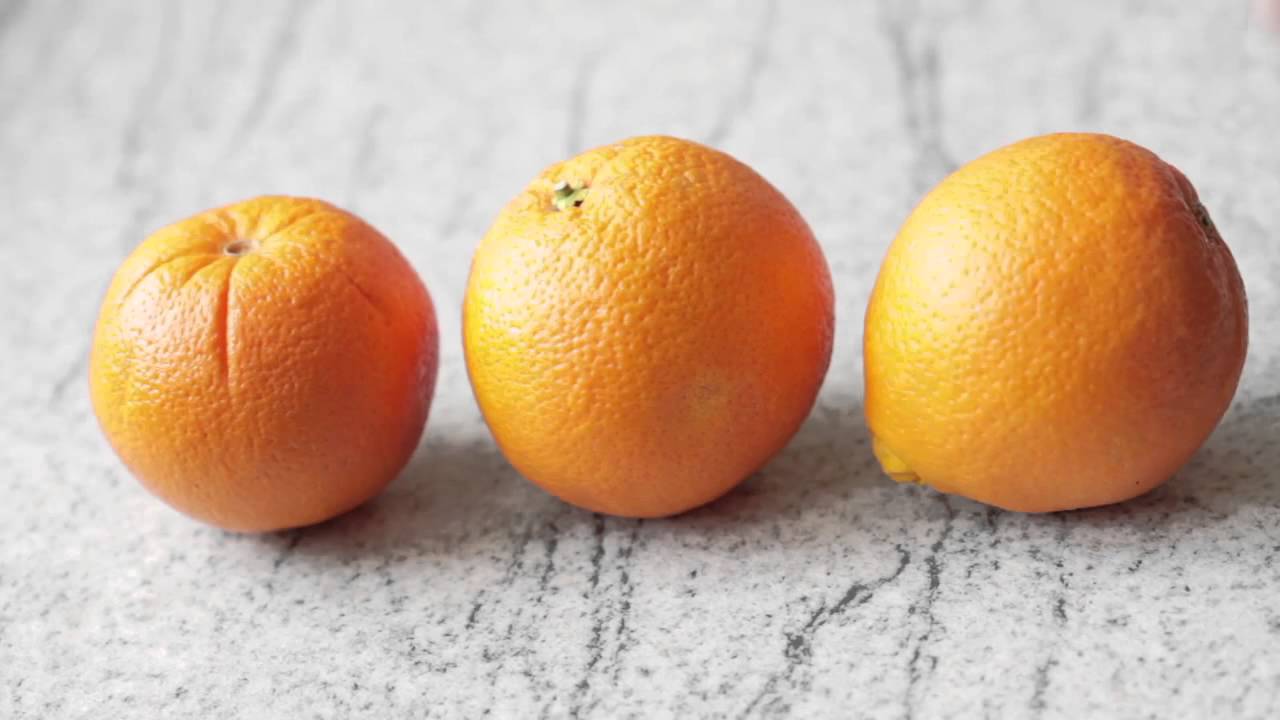 Types of Essential Nutrients    Micronutrients 1