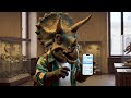 Don't be a dinosaur. Maya. One eSIM. Unlimited Data
