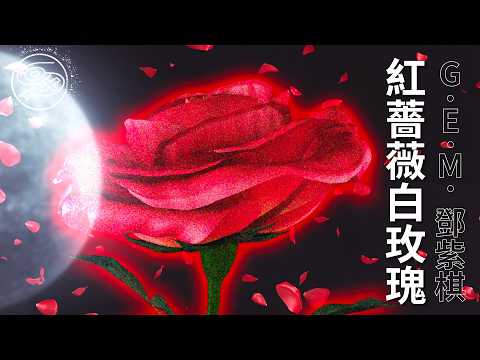 G.E.M.鄧紫棋 - 紅薔薇白玫瑰 (G.E.M.重生版)｜動畫歌詞/Lyric Video「夢裡鮮紅的薔薇 睜眼是蒼白的玫瑰 它躺在月亮下 紀念著曾經最真摯的愛」