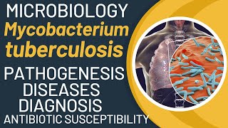 Mycobacterium tuberculosis disease | Mycobacterium tuberculosis pathogenesis | TB lab diagnosis