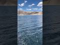 Pangong Tso lake~Ladakh,India👌🏻😍🇮🇳❤️. #shorts #pangonglake #ladakh #travel