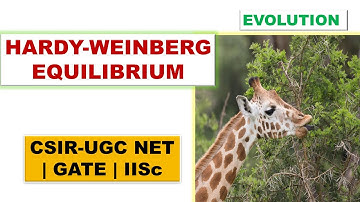 Hardy-Weinberg Equilibrium and Equations | Evolution | CSIR NET Lifescience
