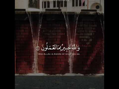 ﴿ وَلَن يُؤَخِّرَ اللَّهُ نَفْسًا إِذَا جَاءَ أَجَلُهَا ﴾ - سورة المنافقون ، قرآن كريم🌸
