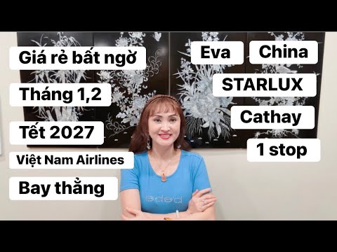 Giá vé máy bay từ Mỹ về Việt Nam Tết 2027 rẻ quá