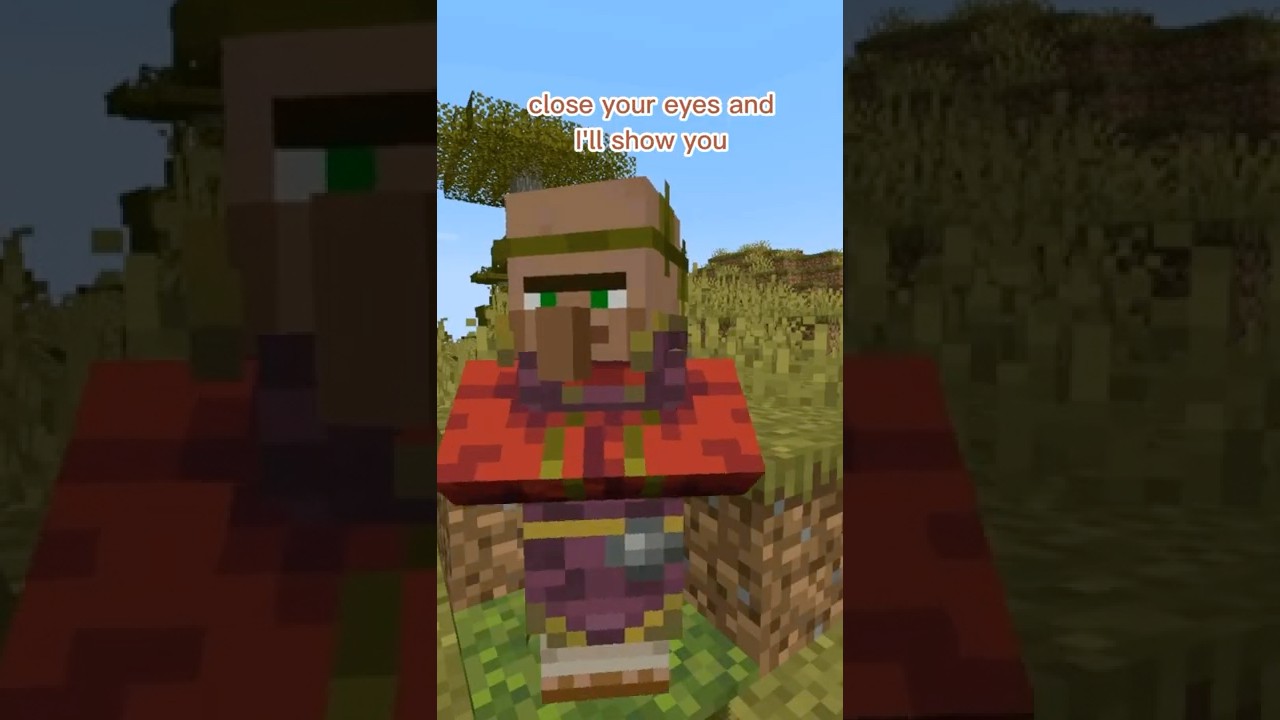 yes that's a mirror #mcyt #minecraft #minecraftmemes #villager