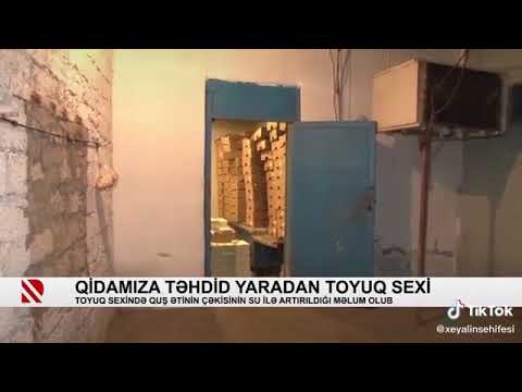 Video: Toyuq Necə çəkilir