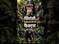 इंसानों की तरह बातचीत करने वाला जीव! 😲 #shorts #chimpanzee #wildlife #animals #junglefacts