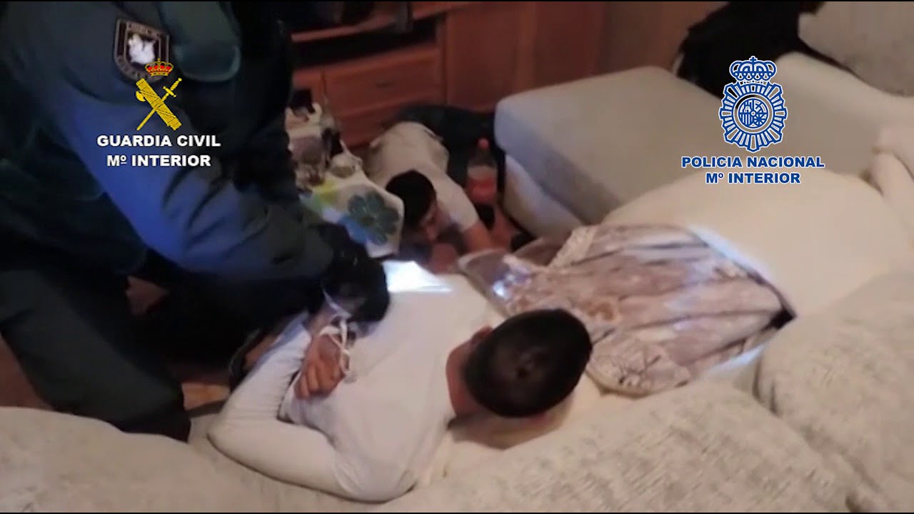 Guardia Civil y Policía Nacional desarticulan una organización criminal