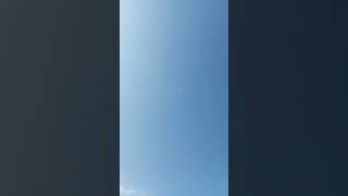 Caglar gumusgoz cekilişten cıjan bızım yavru #güvercin #populerpigeon #pigeon #pigeonlaver