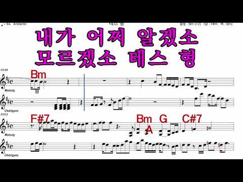 테스형    나훈아  iSMB 가수처럼 엠알로 노래 악보 여자 Bm