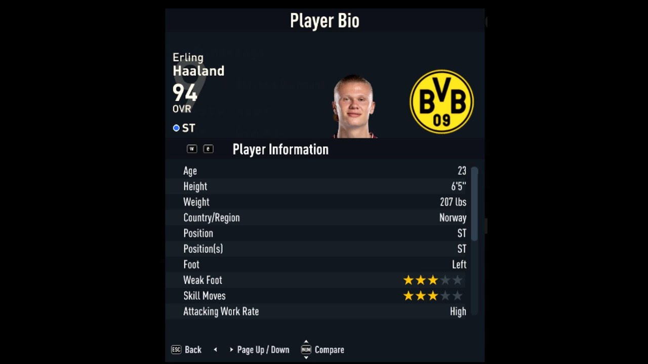 FIFA 23 | HAALAND RATING 94! back to Dortmund *Session 2023 / 2024 Stats & Results*