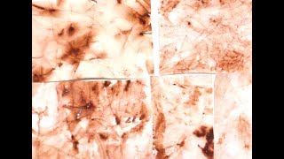 Paper Crush Mixed Media Technique