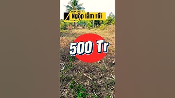 Đất Dầu Tiếng I Chỉ hơn 500tr xíu có ngay lô đất 8 ×36 ( Tc 100 ) #datdautieng