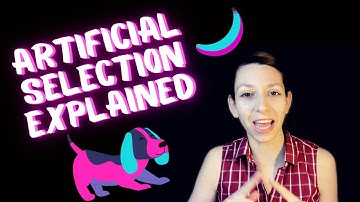 What is artificial selection? [Artificial Selection & Convergent Evolution Explained!]