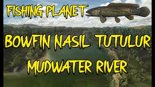 Fishing Planet Bowfin Nasıl Yakalanır? Mudwater River 1.95Kg Ve 3.84Kg Bowfin Yakaladım