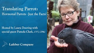 Translating Parrot 8: Hormonal Parrots – Just the Facts!