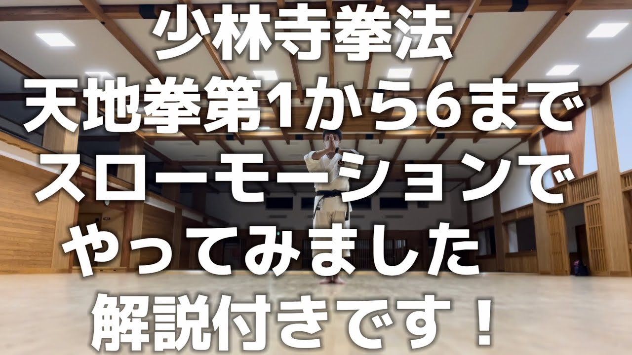 【少林寺拳法】天地拳第1系〜第6系までスローモーションで解説　#shorinjikempo #少林寺拳法 #天地拳