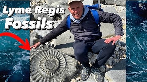 Some Fossil Hunting Tips You Really Should Know!🧐