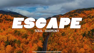 Soul Harmony 💚 Escape  [ 528Hz Official Music Video ] 🌿 Peace and Love 💚