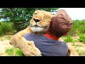 10 Incredible Friendships Between Humans And Animals