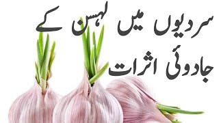 garlic benefits / lehsan ke faide