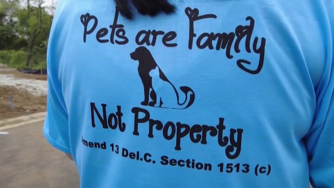 Del. Woman Wants Divorce Laws to Consider Pets as Family, Not Property