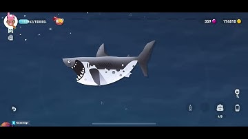 Shredder..No Bait..Carbon Rod..Paradise Island..Creatures of the Deep