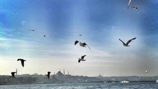 Gamsız Hayat Orijinal Dizi Müzikleri - Mayki Murat Başaran [Vakit Erken]