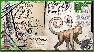Ark basics Mesopithecus - ALL YOU NEED TO KNOW ABOUT MY FAVORITE