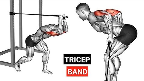 Top 5 Resistance Band Exercises for Killer Triceps | Tricep Workout