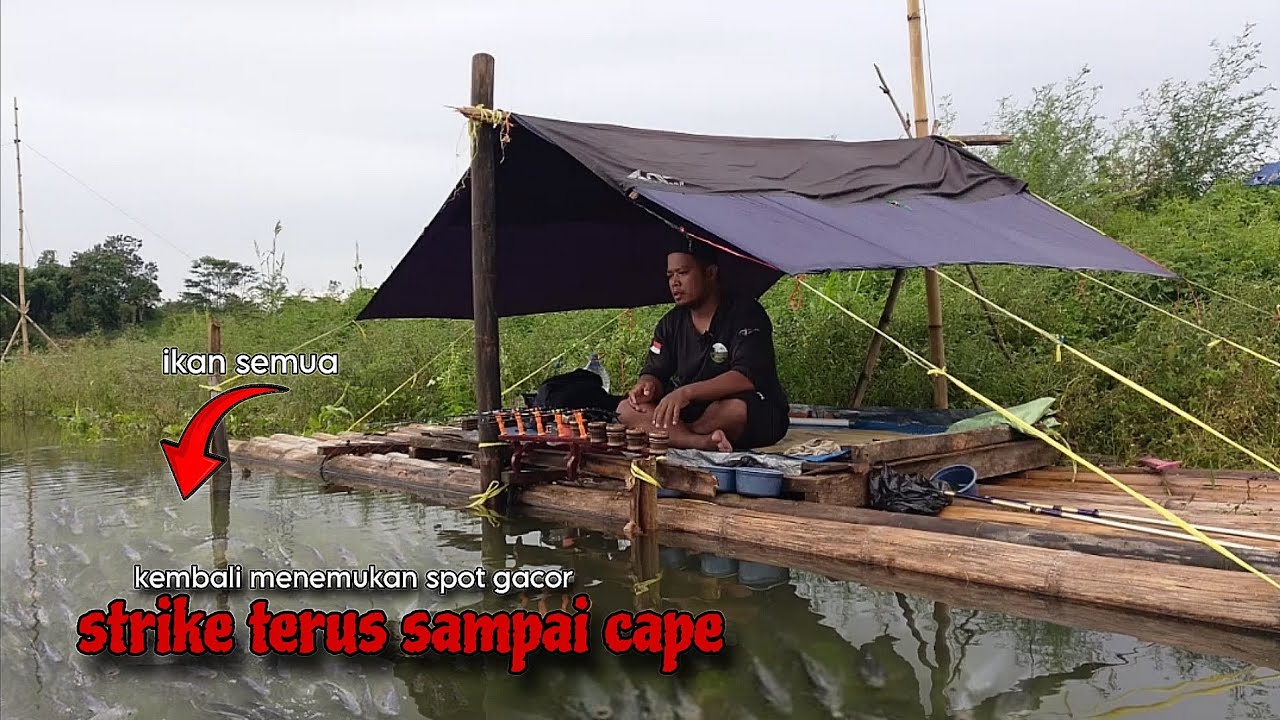 CAMP FISHING ep,104 NGERIIIII SAMBARAN IKAN DI SINI MASUK MALAM HARI 