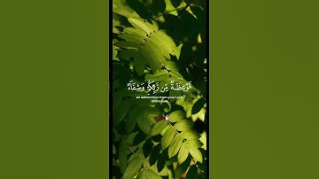 موعظة وشفاء من القرآن | سورة يونس آية 57 | تلاوة خاشعة سعود الشريم 📖