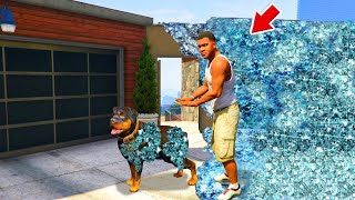 :     (GTA V)