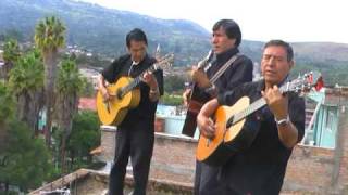 FLOR DE RETAMA - TRIO HUANTA chords