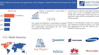 Multefire Market | Exactitude Consultancy Reports