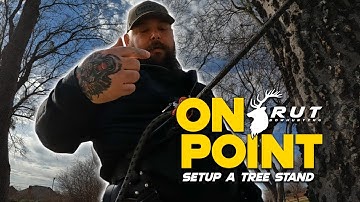 DIY: Mastering the Art of Treestand Set-Up: A Hunter