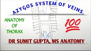 AZYGOS SYSTEM OF VEIN