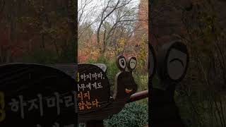 인천대공원 호수정원 영상