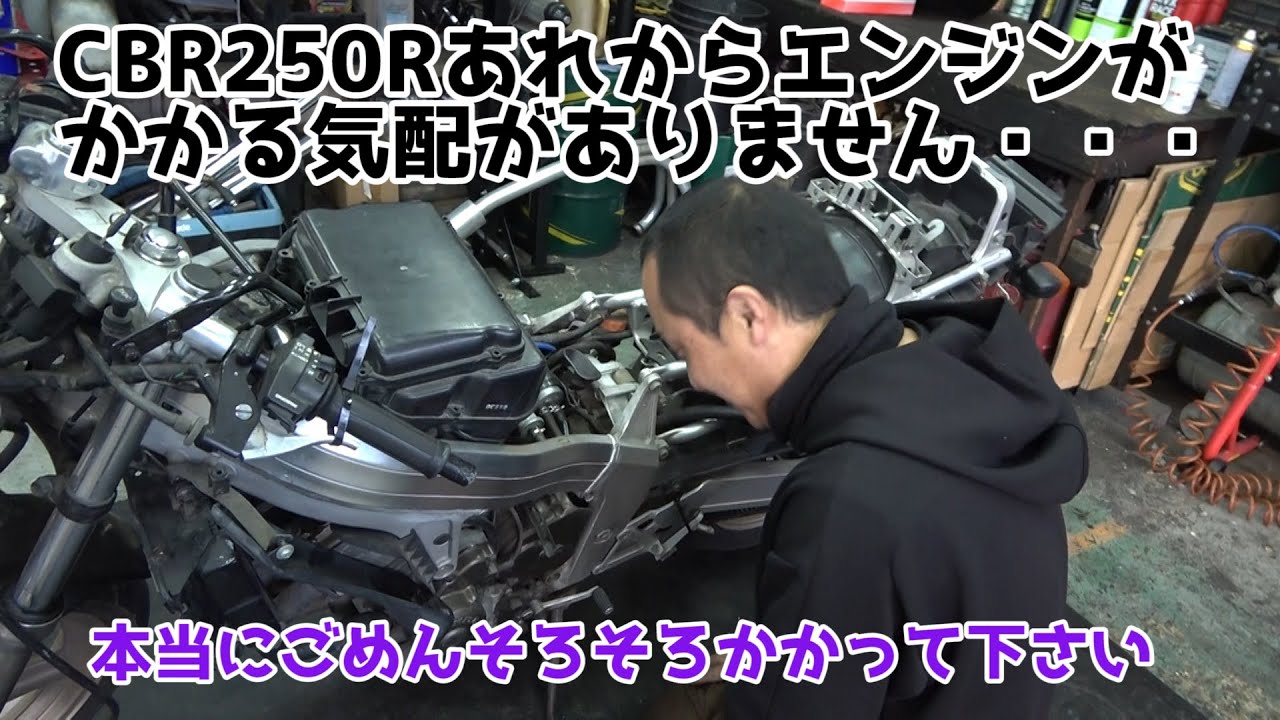小牧 CBR250R 実働 小牧 CBR250R 実働 【公式通販】