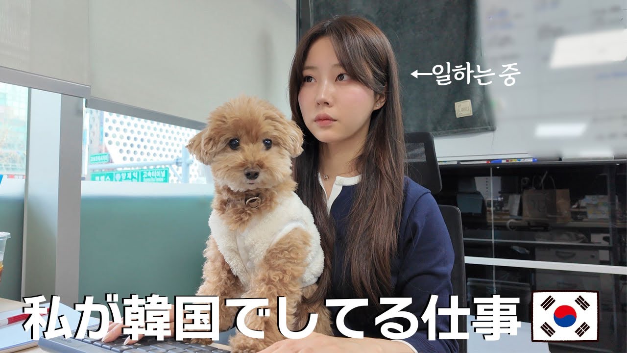 天国のような韓国の職場環境🇰🇷愛犬と出勤するVLOG🐶