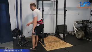 Cable Reverse Walk | Glute Drive, Hip Extension Strength & Posterior‑Chain Control