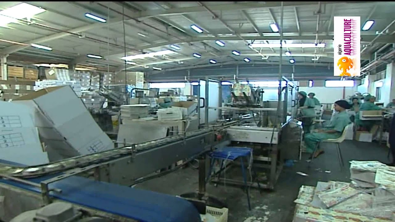 قطاع الصيد البحري وتربية المائيات بولاية وهران ج2