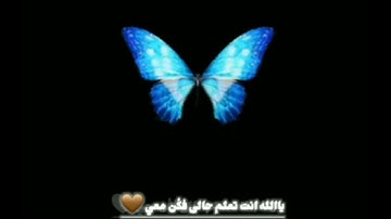سورة المجادلة 🌹القارئ أحمد خليل شاهين