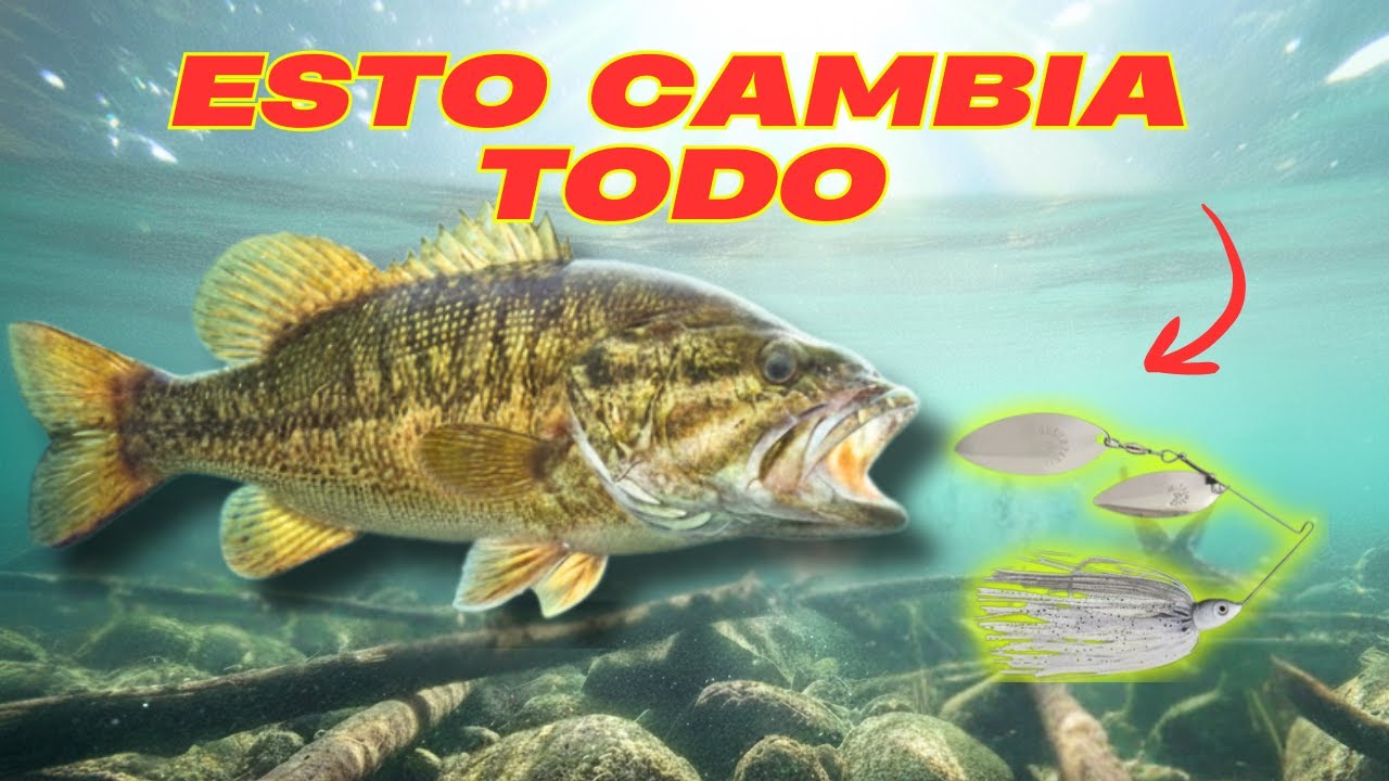 Nadie Te Dice Esto Sobre Pescar en Invierno (Guía para principiantes)