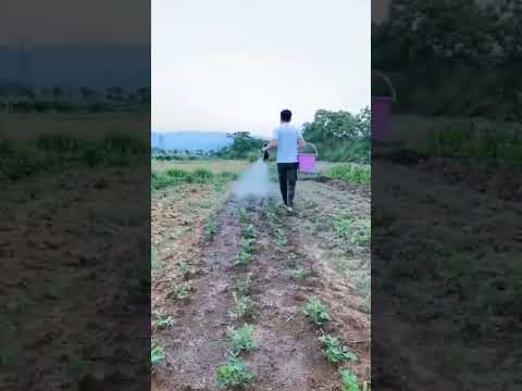 Simple Gun Spraying Pump Ya Kumwagilia