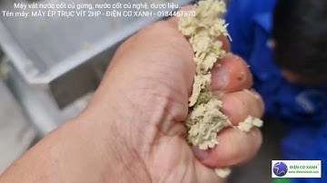 Máy vắt nước cốt gừng nguyên chất, vắt trực tiếp từ củ gừng nguyên liệu - Điện Cơ Xanh - 0984467870